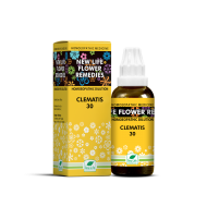 New Life Flower Remedies Clematis New Life Flower Remedies Clematis