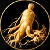 Ginseng Q – ingredient of Vigor Life Forte Drops